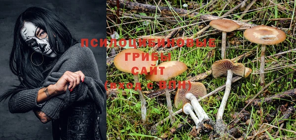 синтетический гашиш Рославль