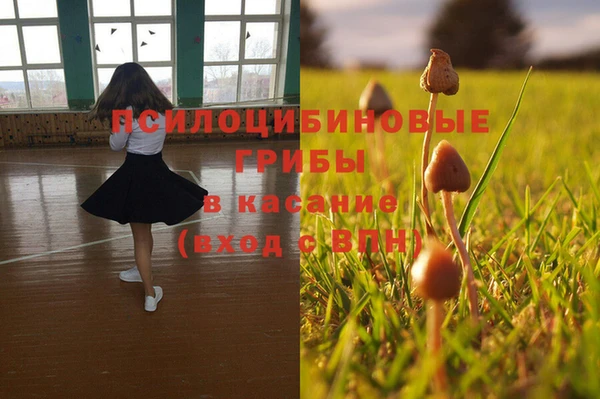 синтетический гашиш Рославль