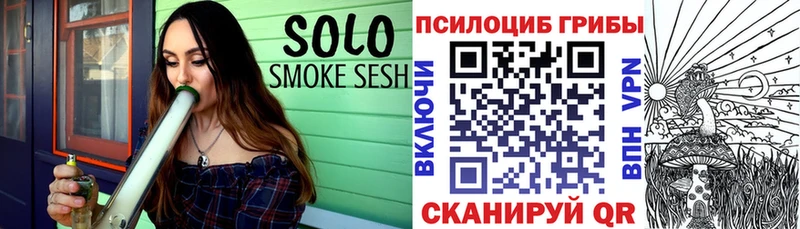 Галлюциногенные грибы Cubensis  где найти   Мураши 