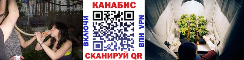 как найти закладки  Мураши  Шишки марихуана индика 